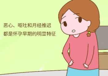 怀孕期间如何补充营养？怀孕初期吃什么食物好呢