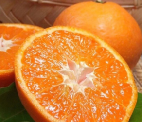 怎么选择适合自己的柑橘类水果?柑橘营养功效好 怎么选择适合自己的柑橘类水果?柑橘营养功效好