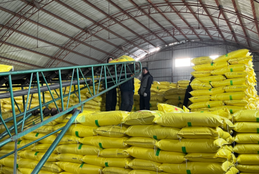 播种春的希望，时不我待加快经济恢复