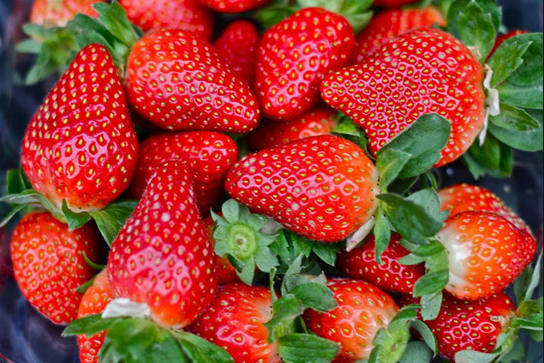 为什么姨妈期吃水果的时候肚子疼 一篇文章教你识别姨妈期间的水果禁忌