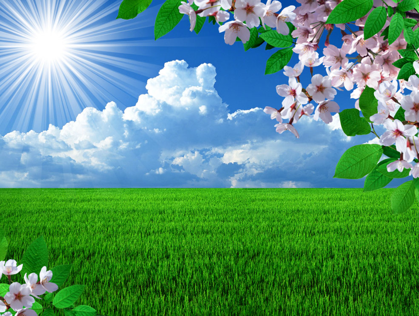 春天与音乐一起来了 还带来了爱和希望 春天与音乐一起来了 还带来了爱和希望