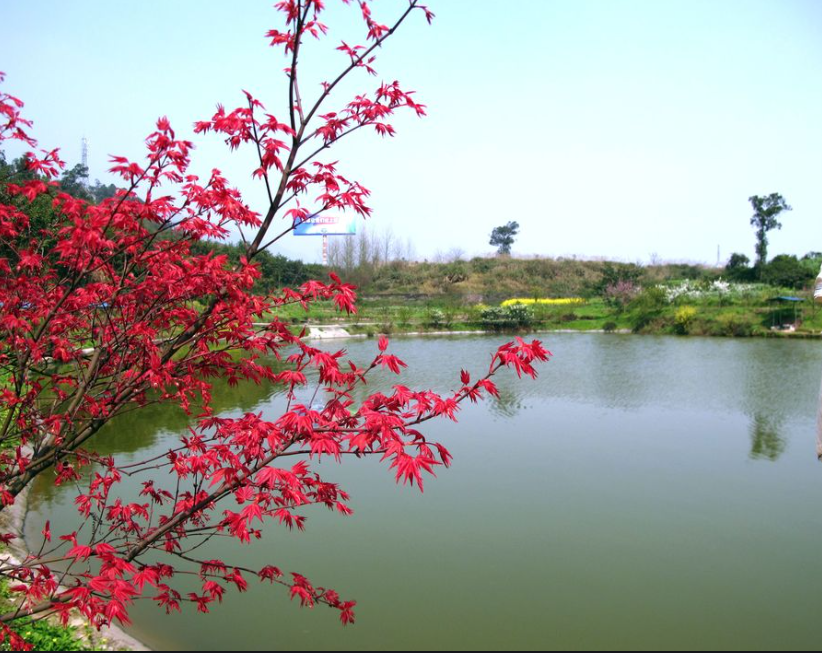 春天与音乐一起来了 还带来了爱和希望 春天与音乐一起来了 还带来了爱和希望