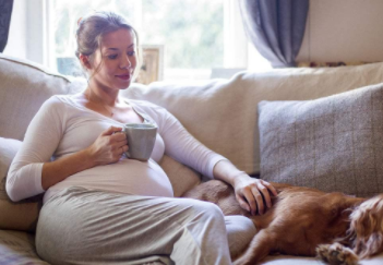 女人如何知道自己怀孕了?女性怀孕后初期症状有哪些?