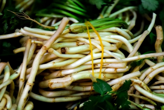 马兜铃酸致癌折耳根还能吃吗?常吃鱼腥草到底会怎样?
