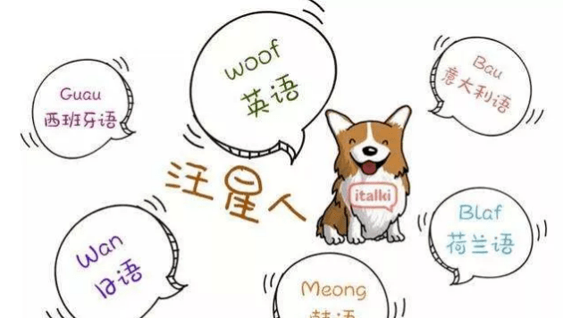 纽约政府机构将提供中文等免费翻译服务，如没有民众随时可填在网上表格举报