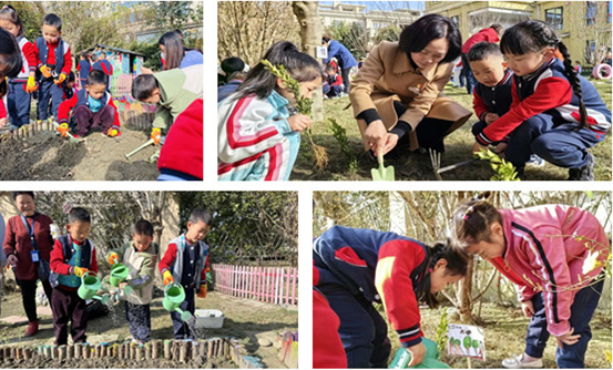 温江区永宁芙蓉幼儿园开展2023年春季学期植树节活动