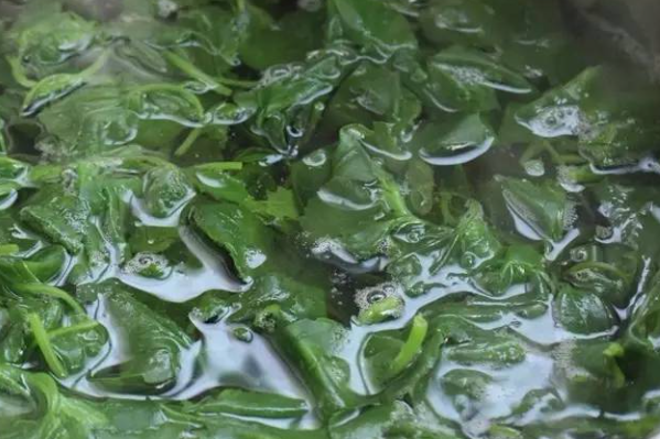 近期多人误食有毒野菜,春季吃野菜,牢记这几点! 近期多人误食有毒野菜,春季吃野菜,牢记这几点!