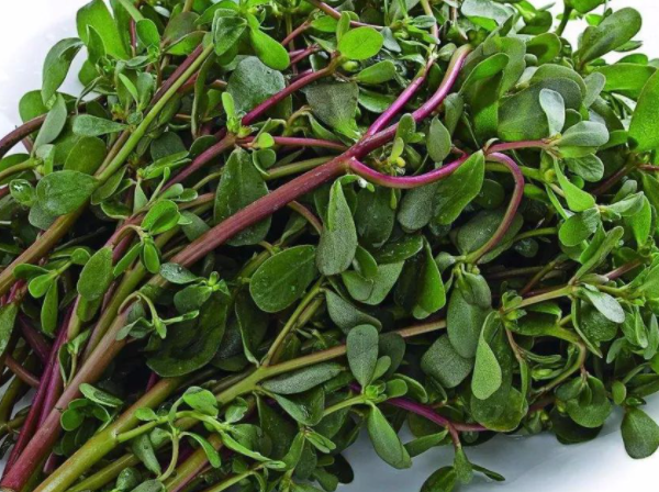 近期多人误食有毒野菜,春季吃野菜,牢记这几点! 近期多人误食有毒野菜,春季吃野菜,牢记这几点!