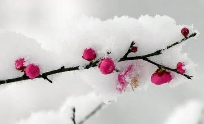 2023年高考作文预测：卓然不群，敢于争先