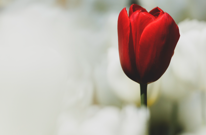 2023年高考作文预测：卓然不群，敢于争先