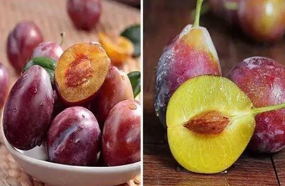 西梅是高糖还是低糖水果?西梅紫色还是红色通便效果好?