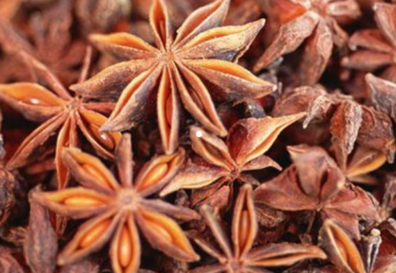 “假八角”是什么？危害有多大？购买时，这些真相要知道!