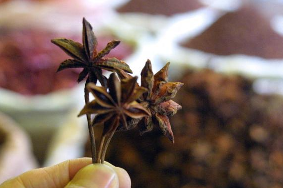 “假八角”是什么？危害有多大？购买时，这些真相要知道!