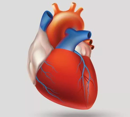 9个“看透”心脏的常见检查项目,快来收藏! 9个“看透”心脏的常见检查项目,快来收藏!