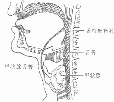 小孩子脖子鼓包怎么回事？小心是囊肿！