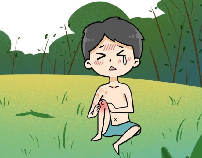 踏青后高烧不退是羌虫病吗?春季踏青如何预防羌虫叮咬?