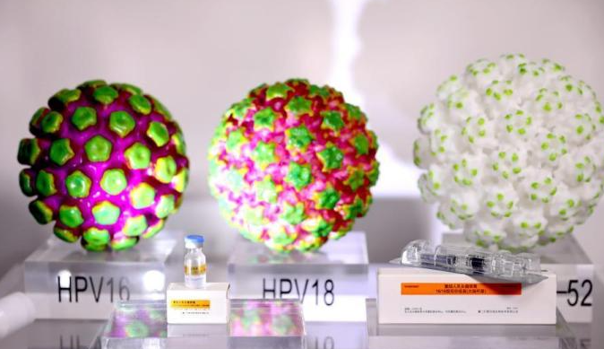 注意!HPV不是女性的专利,男性也会感染HPV! 注意!HPV不是女性的专利,男性也会感染HPV!