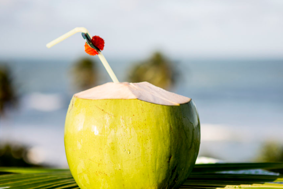 喝椰子水竟然把自己喝进了急诊科？变质椰子水为何这么毒？