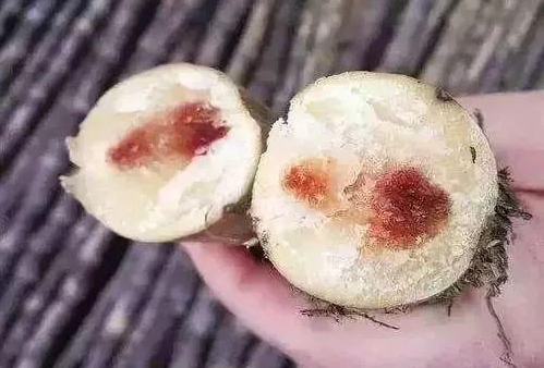 这些“春日限定“千万不要乱吃，小心变成“春日毒药”！