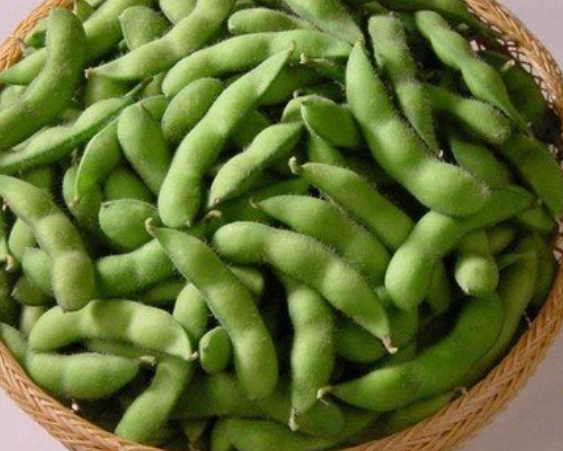 盘点含有有害物质的3种春菜,吃之前一定要小心处理,避免中毒! 盘点含有有害物质的3种春菜,吃之前一定要小心处理,避免中毒!