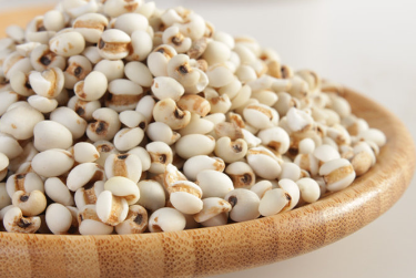 胃不好吃哪些食物养胃？推荐下面六种食物