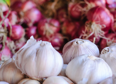 秋季提高免疫力吃什么好？哪些食物可以提高免疫力？