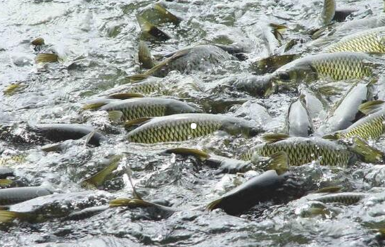 怎样更好地控制尿酸预防痛风？这三个方面你必须要注意！