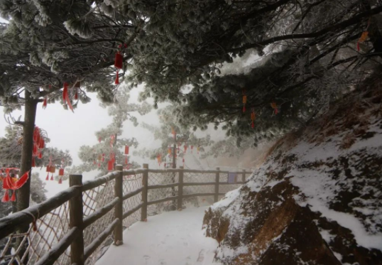 河南老君山现雨凇景观车窗覆冰，河南老君山的春山雪景旅游攻略