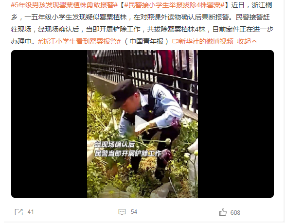 浙江小学生一看到罂粟就赶紧报警： 民警当场铲除
