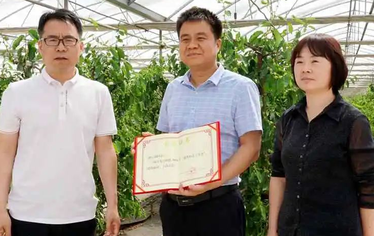 科技兴农——西北农林科技大学张明科团队科技助农的故事