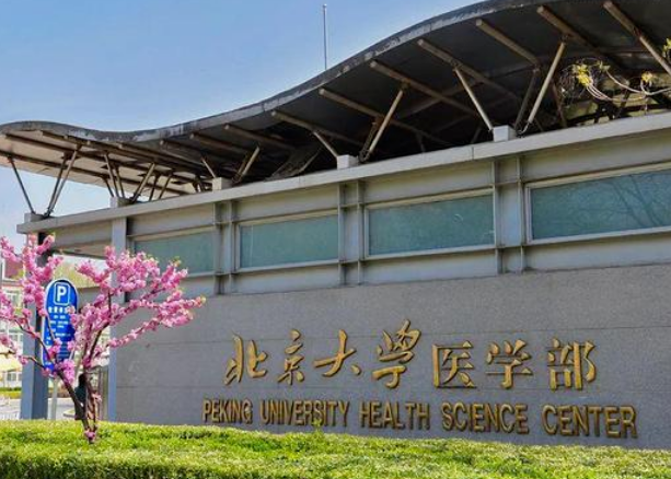 北京医科大学已被列入野鸡大学? 怎样辨别野鸡大学?