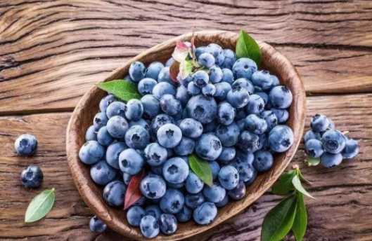 蓝莓白霜越多越新鲜吗?蓝莓白霜越多青花素越多吗?