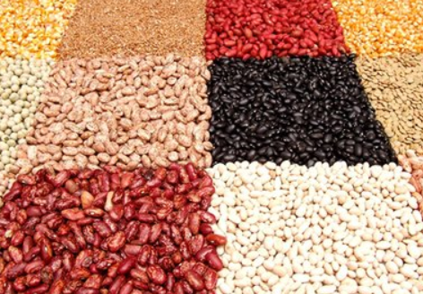 减肥前先了解这些,不花冤枉钱! 减肥前先了解这些,不花冤枉钱!