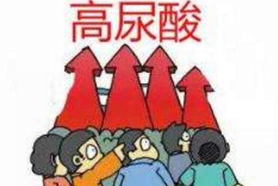 常吃高嘌呤食物容易导致尿酸过高,警惕痛风! 常吃高嘌呤食物容易导致尿酸过高,警惕痛风!