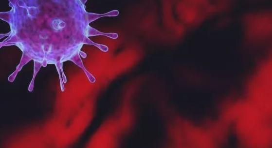 北京一高校出现5例诺如阳性病毒，该病毒具有普遍易感特点！