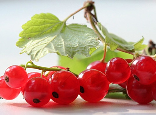 鹅莓可以提高免疫力降血压吗?夏秋季鹅莓怎么吃才有营养?