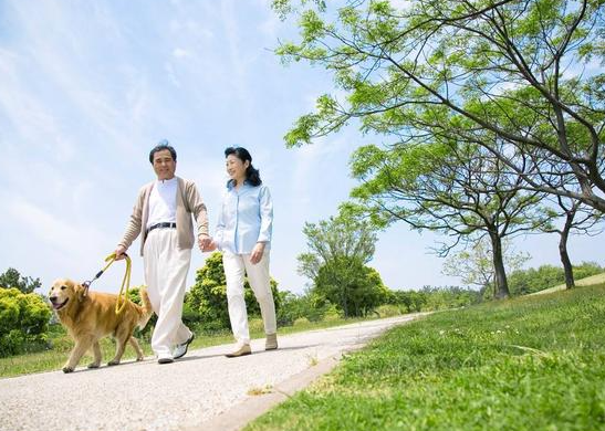 盘点适合老年人的6种运动方式，赶紧收藏！