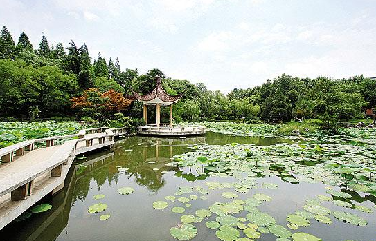 盘点国内8所最低调的大学，实力强大有内涵！