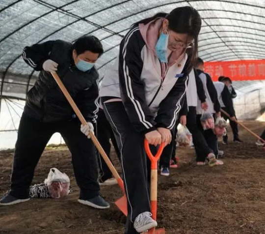 北京高校多措提升劳动教育水平 在劳动教育上取得了实际性进展 北京高校多措提升劳动教育水平 在劳动教育上取得了实际性进展
