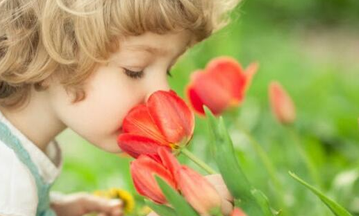 新冠嗅觉味觉下降，如何训练恢复？