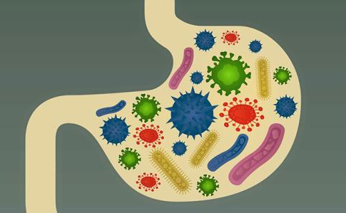 肠道细菌可以影响颜值吗?小肠细菌过度生长会影响体重吗?