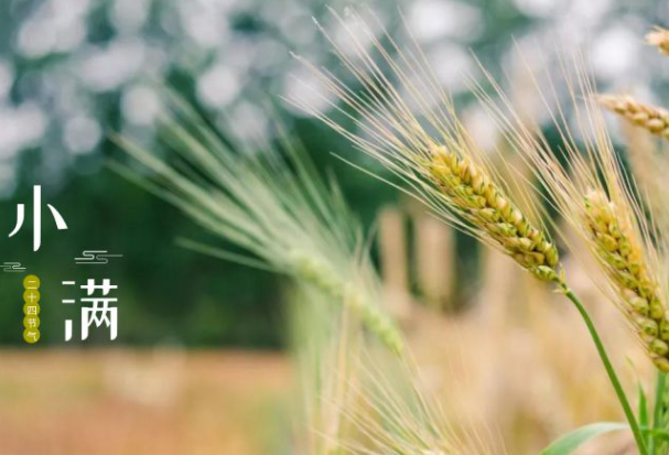 小满来临应该注意些什么？一定要记住这4点！