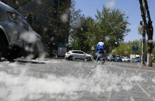 北京进入今年首个飞絮高发期 重点降低飞絮对市民生活的影响
