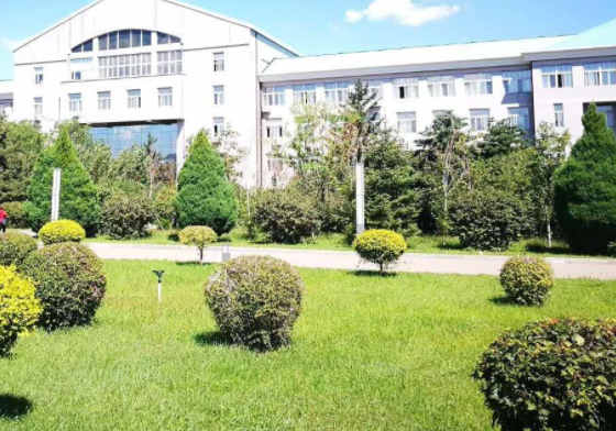 这些大学的本科就业率不到80%？究竟为何？