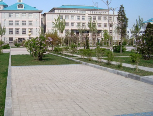 这些大学的本科就业率不到80%？究竟为何？