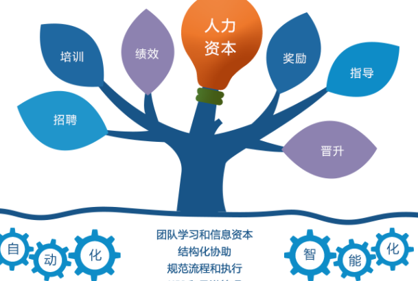 考公热愈演愈烈，哪些专业更适合考公？