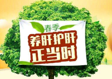 如何养肝，养肝的方法有哪些