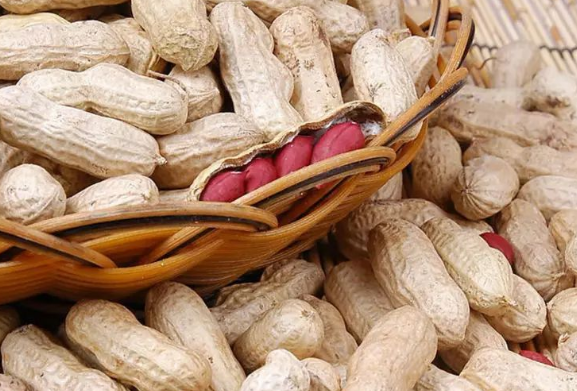 花生怎么吃对胃有好处（多吃花生的好处）