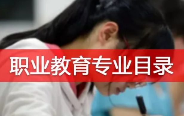 职业教育的主要类型有哪些（职业教育的层次和类型是什么）