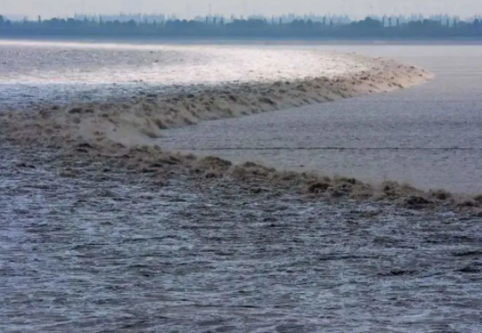 钱塘江逆潮行舟画面太震撼了 钱塘江惊现“沙漠奇观”？